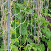 MainframeDirect -jute netting on bean frame