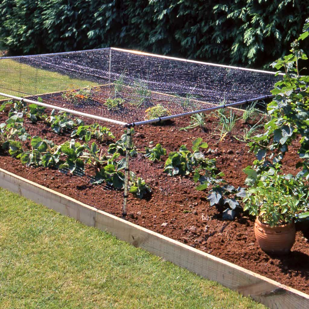 MainframeDirect -strawberry cage on raised bed