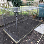 Mainframe direct- Vegetable cage tall- in use raised bed