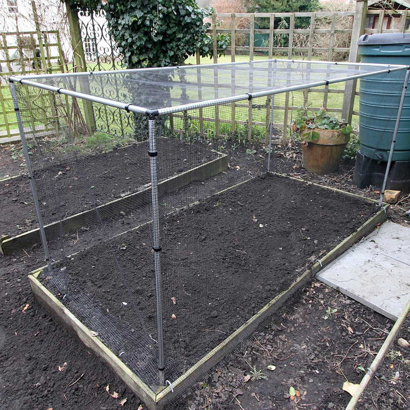 Mainframe direct- Vegetable cage tall- in use raised bed