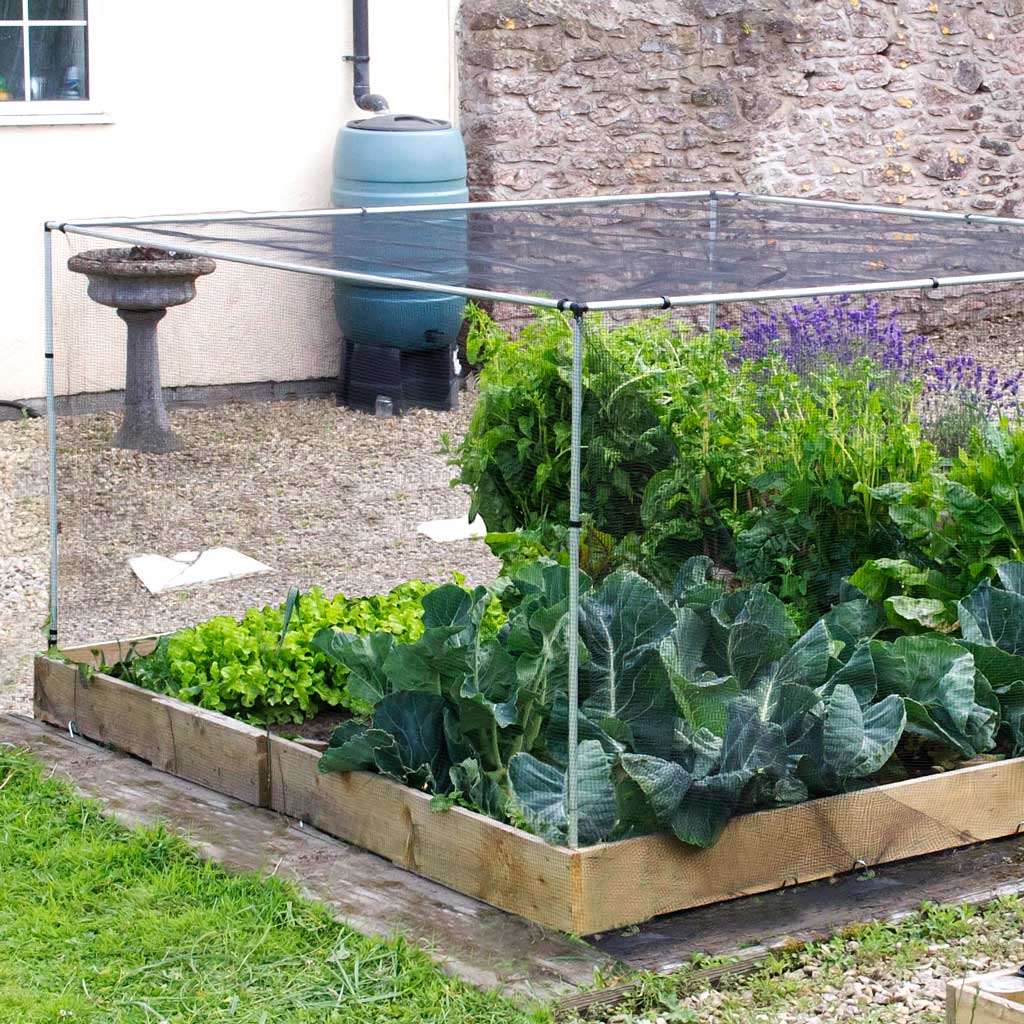MainframeDirect- short vegetable cage- in use raised bed
