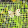 Pond & Butterfly Netting