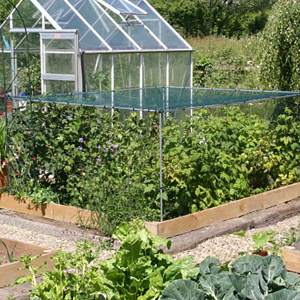 MainframeDirect- soft fruit cage- in use on raised bed